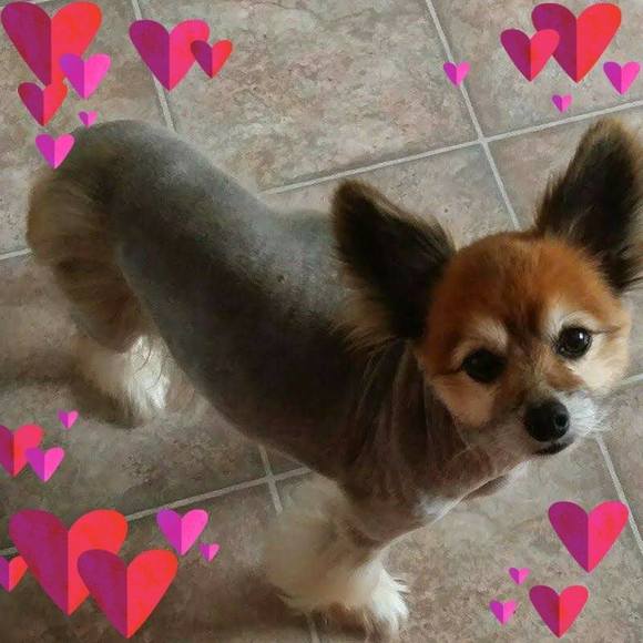 Meet your Posher, Jane - Picture 1 of 1